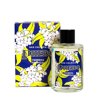 Phebo Deo Colônia, Verbena Tropical, 200ml - Foto 5