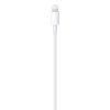 Cabo Apple USB-C para Lightning (1 m) - Foto 4