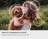 Samsung Vision AI TV 43" NEO QLED ULTRA 4K QN90F 2025 - Foto 4
