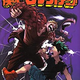 My Hero Academia 09