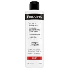 SHAMPOO ANTIQUEDA PRINCIPIA